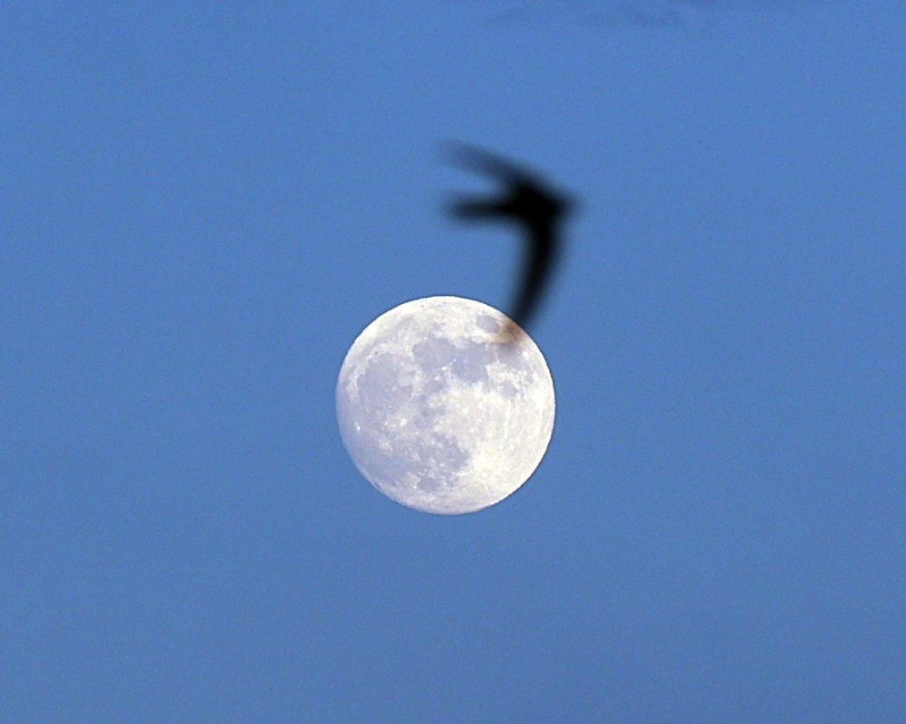 Türkiye'nin dört bir yanından dolunay manzaraları - Sayfa 41