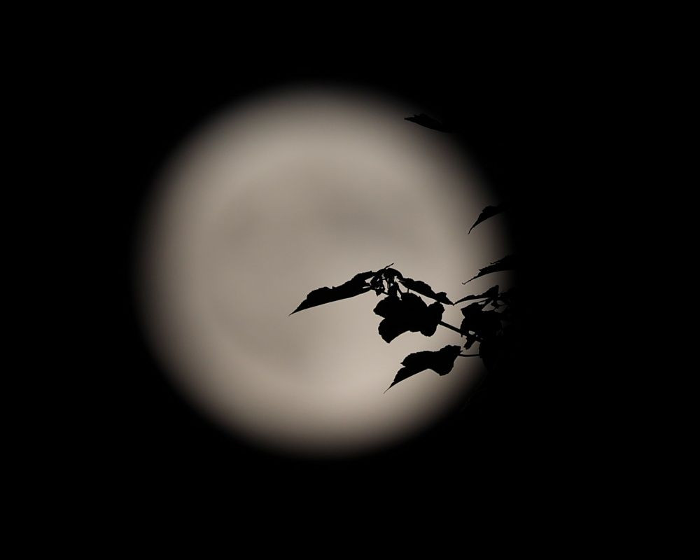 Türkiye'nin dört bir yanından dolunay manzaraları - Sayfa 12