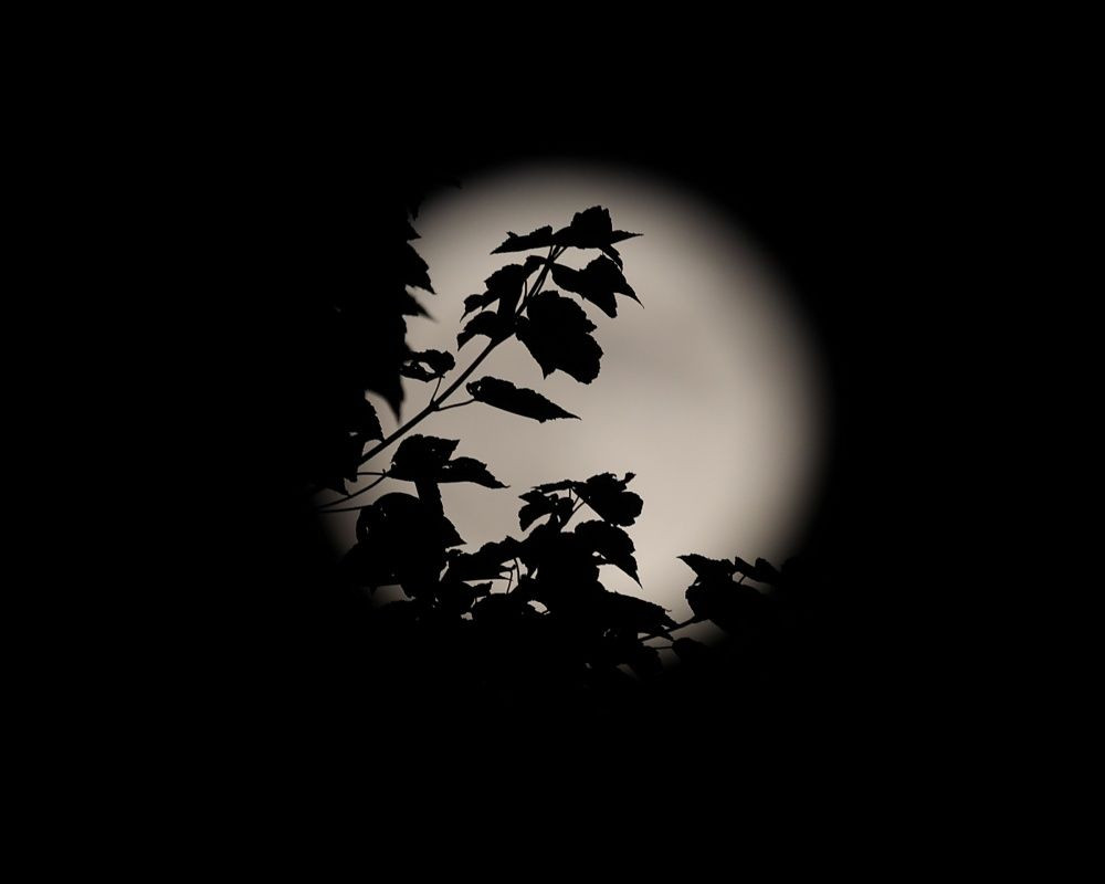 Türkiye'nin dört bir yanından dolunay manzaraları - Sayfa 7