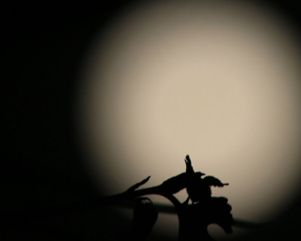 Türkiye'nin dört bir yanından dolunay manzaraları - Sayfa 49