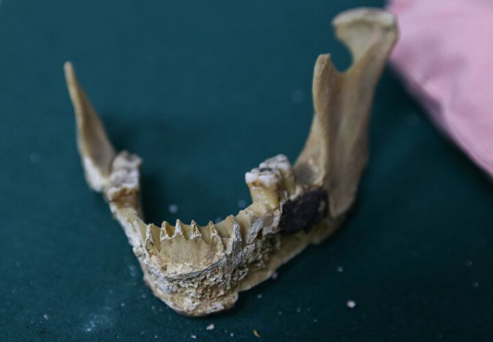 Böylesi daha önce görülmedi: Kadrolu çalışan 'böcek'! - Sayfa 7