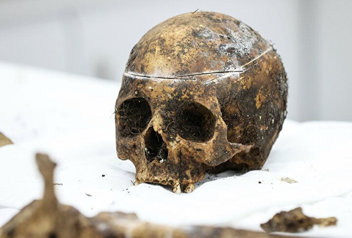 Böylesi daha önce görülmedi: Kadrolu çalışan 'böcek'! - Sayfa 11