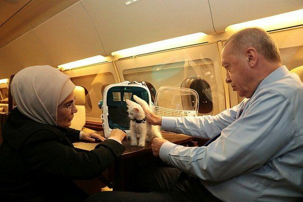 Kılıçdaroğlu'nun yalan raporu çıkarıldı! Algı operasyonu tek tek deşifre edildi! - Sayfa 10