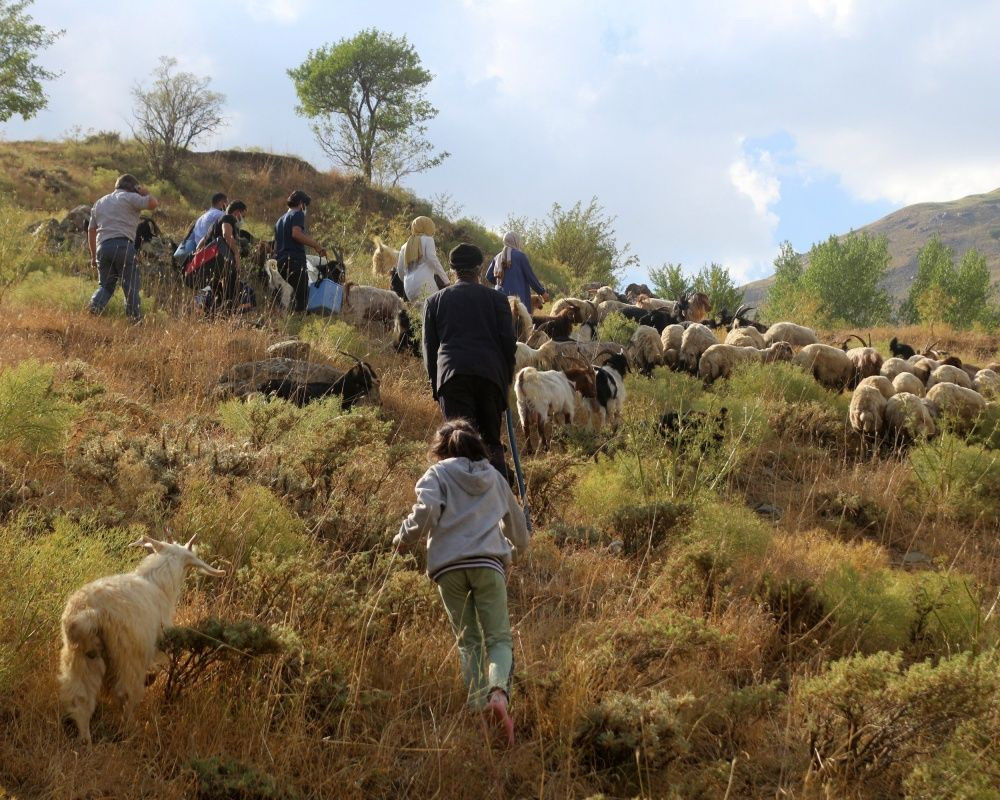 Sağlıkçıların zorlu yolculuğu: Dağ bayır demeden patikaları aşarak aşı yapıyorlar - Sayfa 16