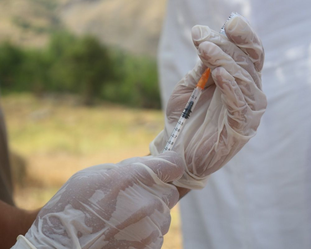 Sağlıkçıların zorlu yolculuğu: Dağ bayır demeden patikaları aşarak aşı yapıyorlar - Sayfa 9