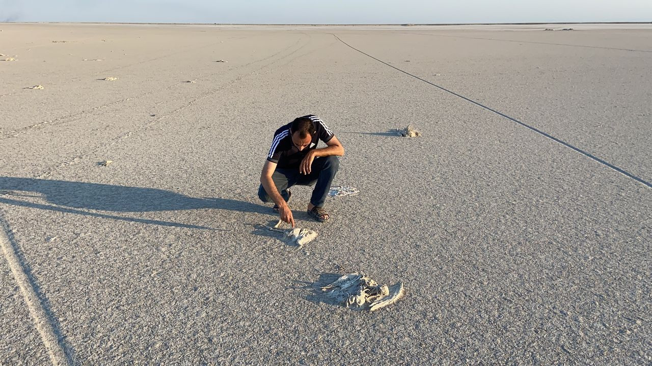 Flamingo mezarlığı! Tuz Gölü'nde kahreden görüntü - Sayfa 6
