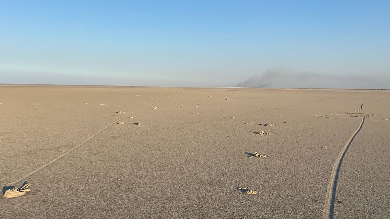 Flamingo mezarlığı! Tuz Gölü'nde kahreden görüntü - Sayfa 9