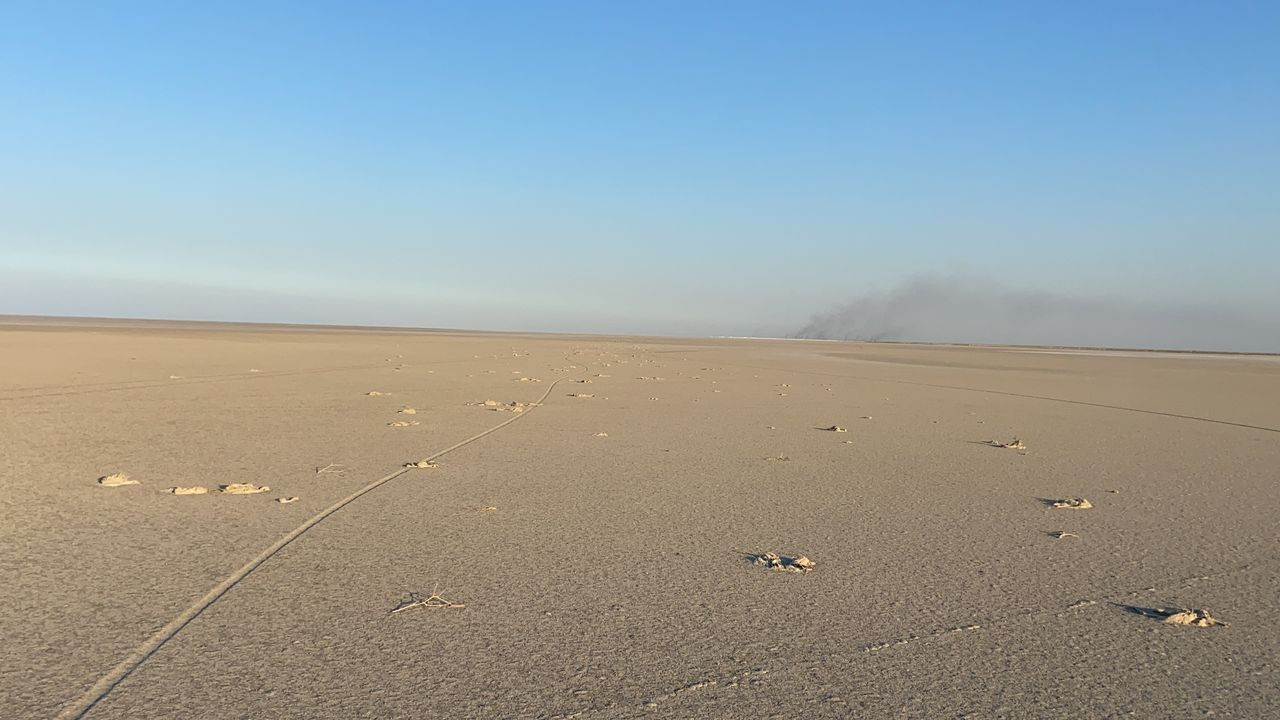 Flamingo mezarlığı! Tuz Gölü'nde kahreden görüntü - Sayfa 10