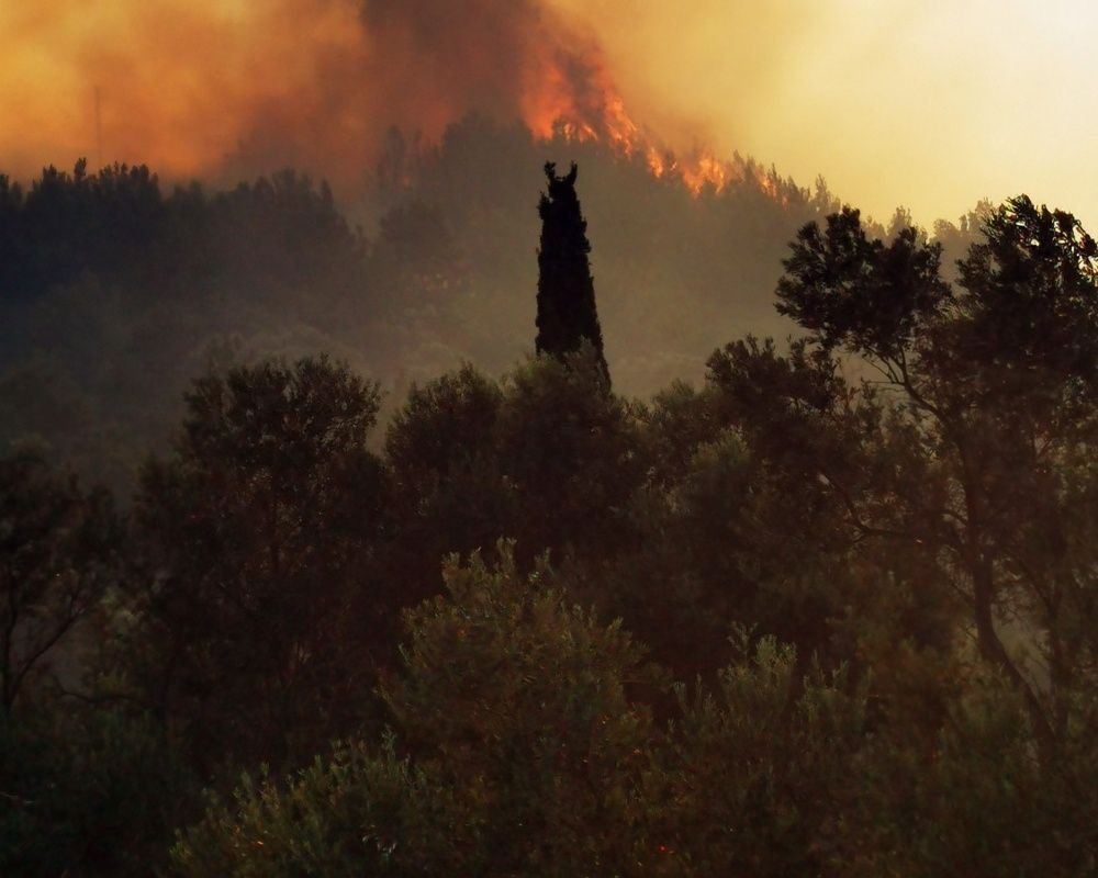 Turistler panikte! Samos (Sisam) kabusu yaşıyor... Yangına müdahale sürüyor - Sayfa 7