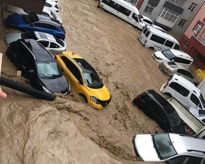 Artvin'de sel seferberliği! Afetin izlerini silmeye çalışıyorlar - Sayfa 12