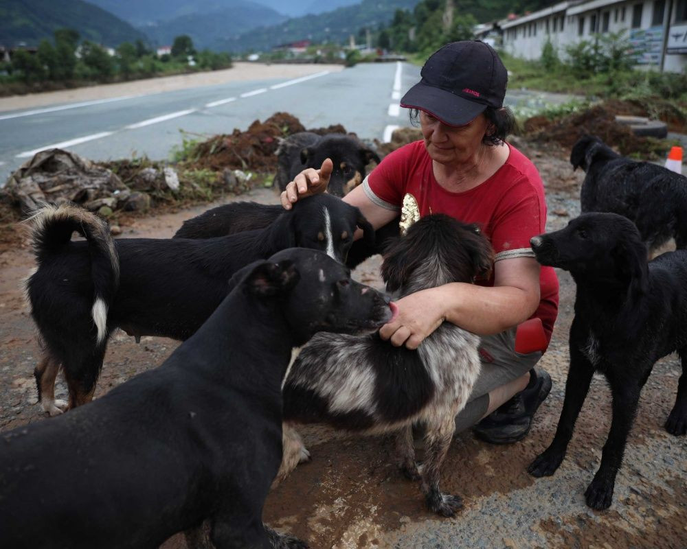 Doğu Karadeniz'de sel felaketinin bilançosu ağır oldu! Artvin'de selin izleri siliniyor - Sayfa 25