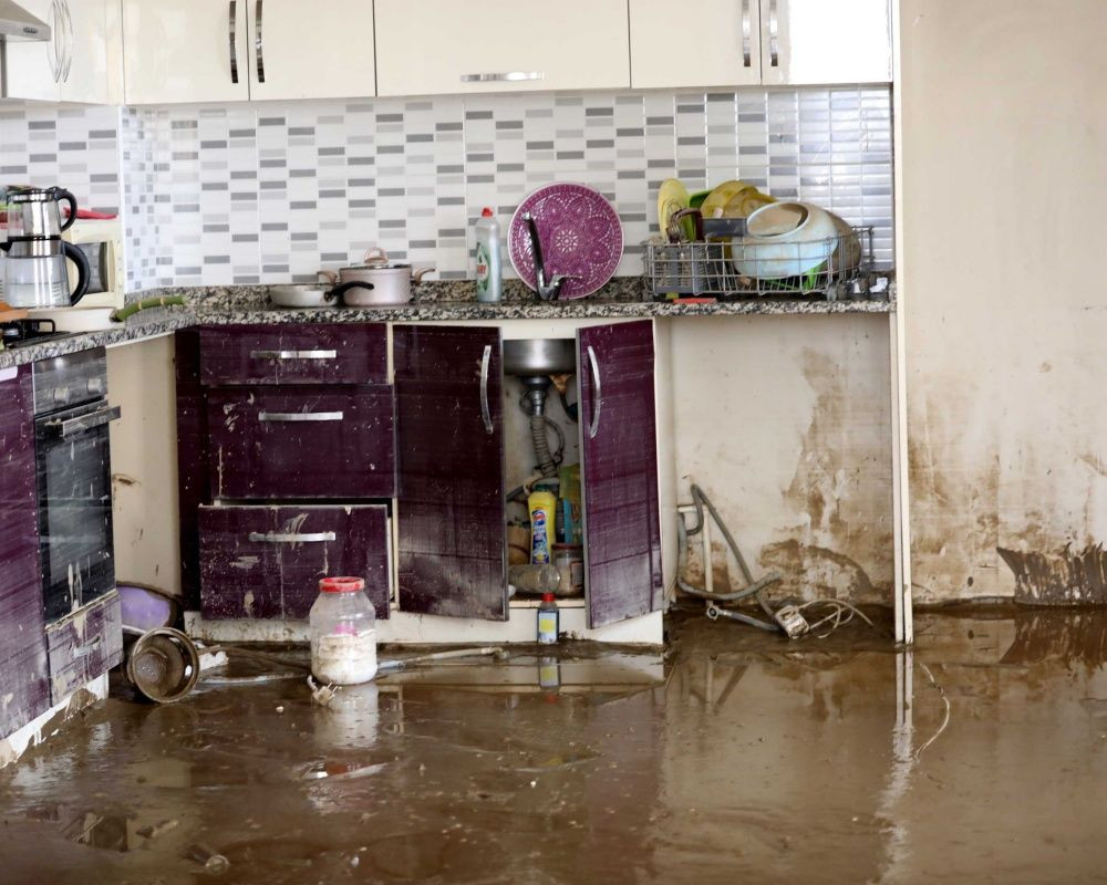 Doğu Karadeniz'de sel felaketinin bilançosu ağır oldu! Artvin'de selin izleri siliniyor - Sayfa 42