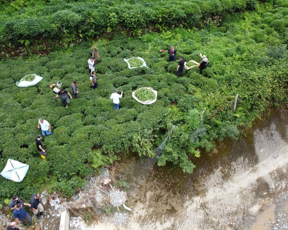 Doğu Karadeniz'de sel felaketinin bilançosu ağır oldu! Artvin'de selin izleri siliniyor - Sayfa 38