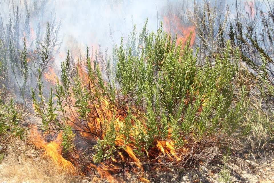 Manavgat alevlere teslim! Köyler tamamen yandı! Çok sayıda yaralı var... - Sayfa 13