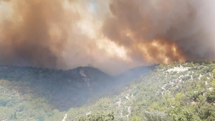 Belediye Başkanı Sözen acı gerçeği açıkladı: 7-8 mahalle tamamen yok oldu! - Sayfa 6