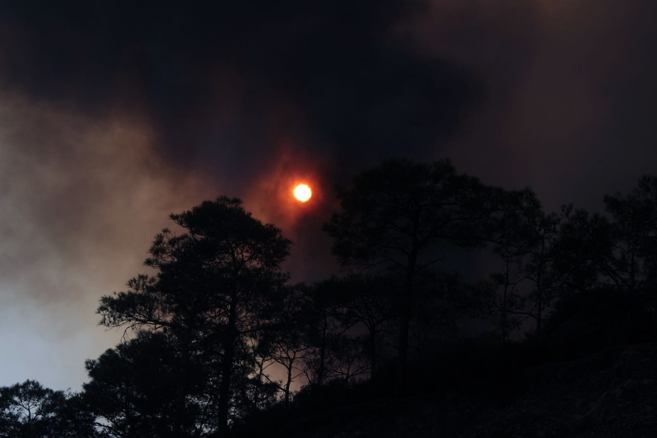 Marmaris'te alevler yüzlerce hektara yayıldı! Gelen görüntüler içimizi dağlıyor - Sayfa 10