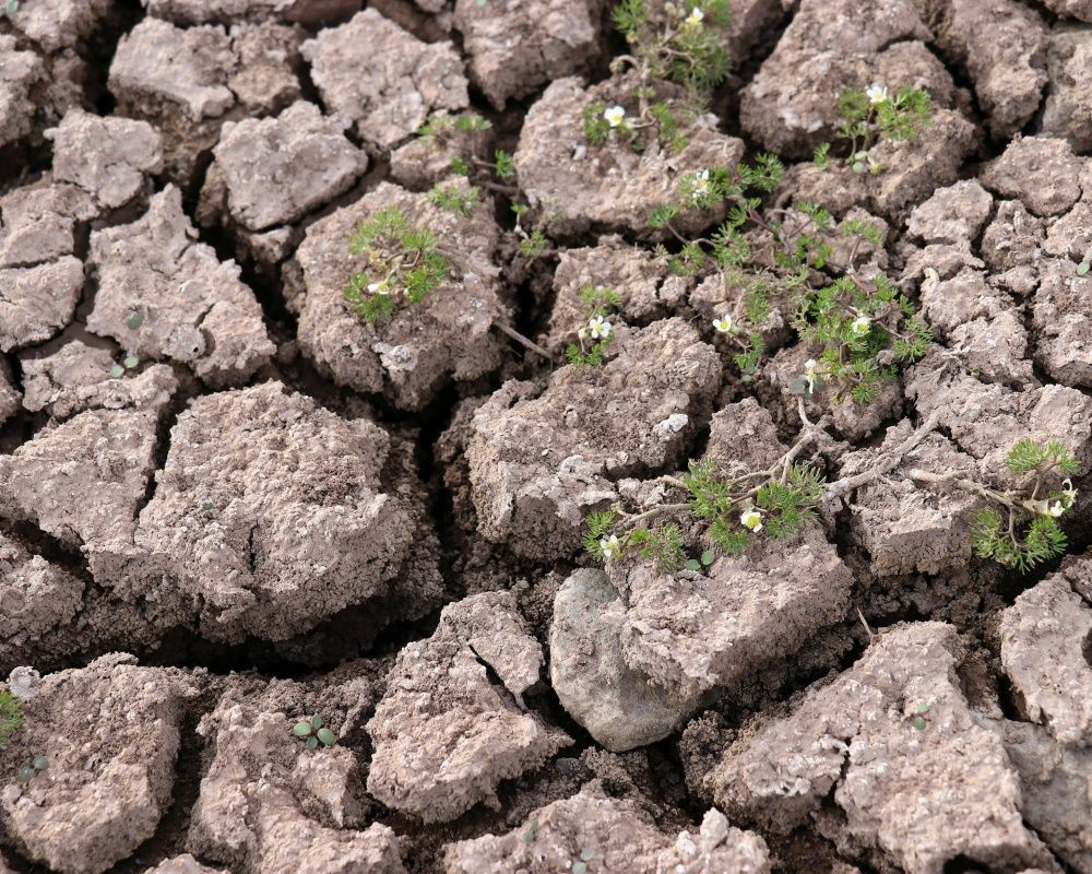 Gümüşhane'deki Dipsiz Göl 'Dipsiz Çöl' oldu! İlk kez tamamen kurudu - Sayfa 9