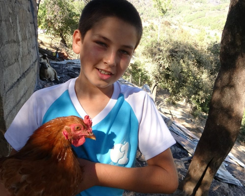 Adana’nın Aladağ ilçesinde çıkan yangından geriye ailelerin acılı hikayeleri, küle dönmüş evler ve orman kaldı - Sayfa 21