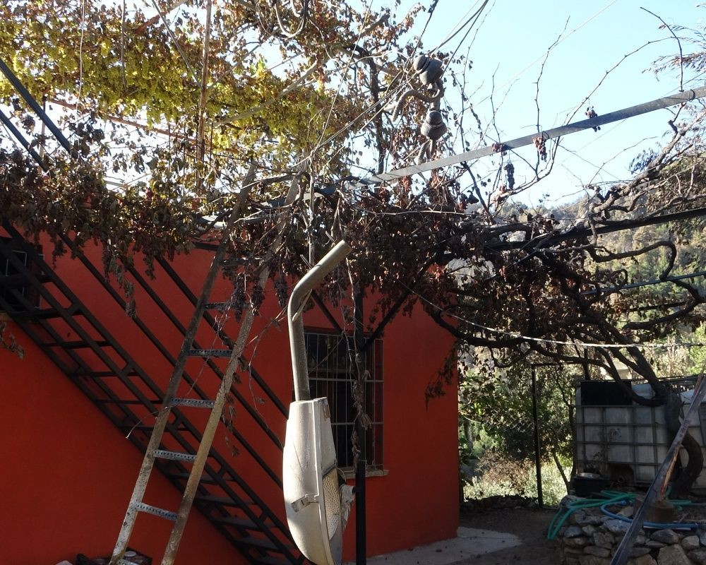 Adana’nın Aladağ ilçesinde çıkan yangından geriye ailelerin acılı hikayeleri, küle dönmüş evler ve orman kaldı - Sayfa 32