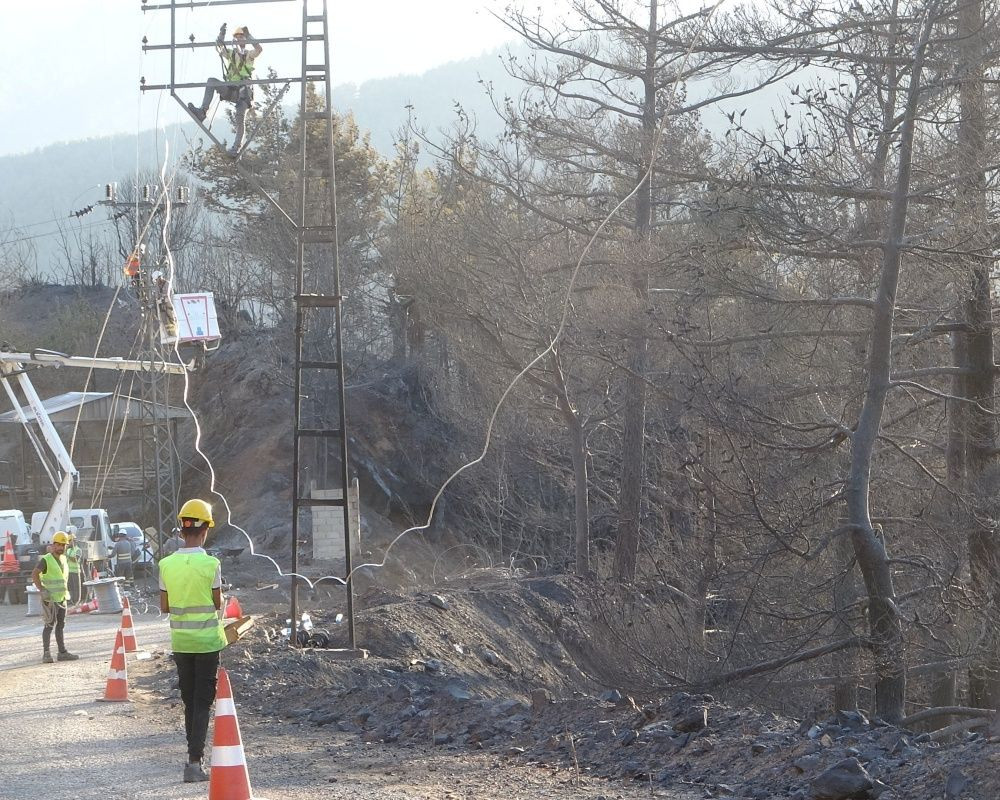 Adana’nın Aladağ ilçesinde çıkan yangından geriye ailelerin acılı hikayeleri, küle dönmüş evler ve orman kaldı - Sayfa 24