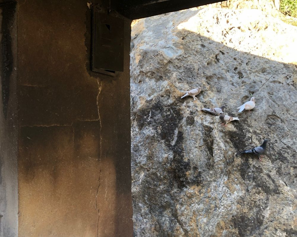 Adana’nın Aladağ ilçesinde çıkan yangından geriye ailelerin acılı hikayeleri, küle dönmüş evler ve orman kaldı - Sayfa 26