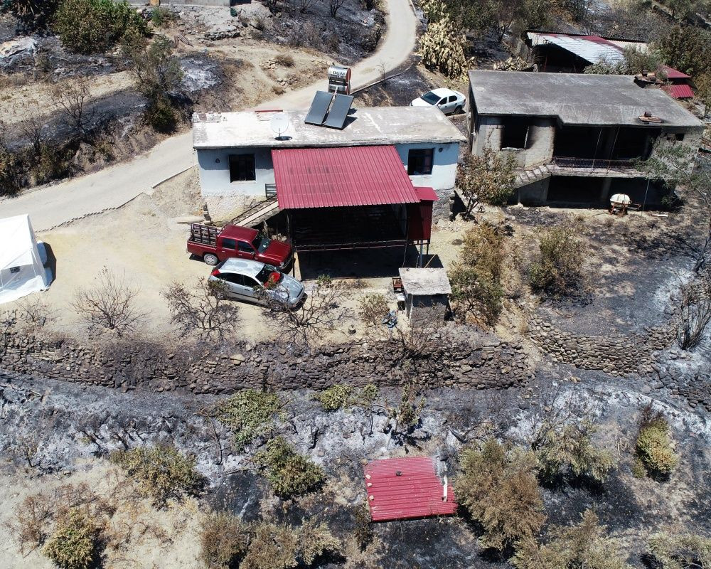 Adana’nın Aladağ ilçesinde çıkan yangından geriye ailelerin acılı hikayeleri, küle dönmüş evler ve orman kaldı - Sayfa 12
