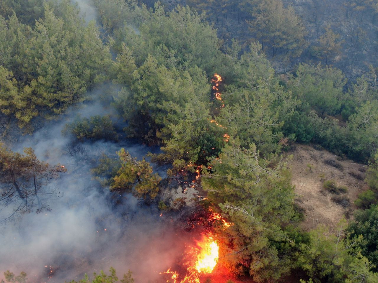 Alevler Gökbel Dağları'nı esir aldı - Sayfa 7
