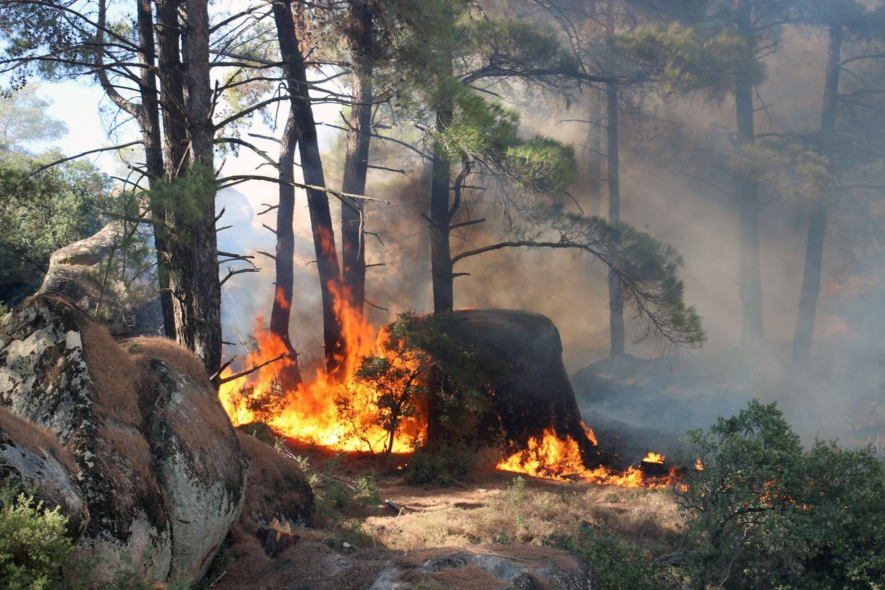 Alevler Gökbel Dağları'nı esir aldı - Sayfa 11