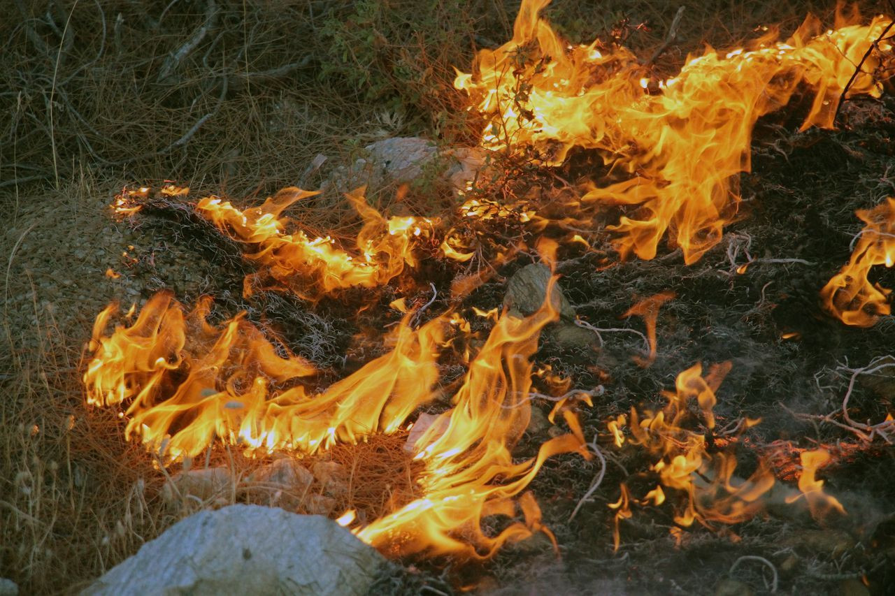 Alevler Gökbel Dağları'nı esir aldı - Sayfa 16