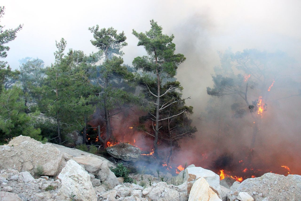 Alevler Gökbel Dağları'nı esir aldı - Sayfa 17