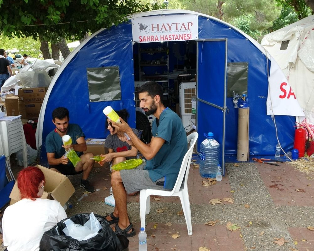 Manavgat'taki orman yangınında zarar gören bütün hayvanlar tedavi ediliyor - Sayfa 31