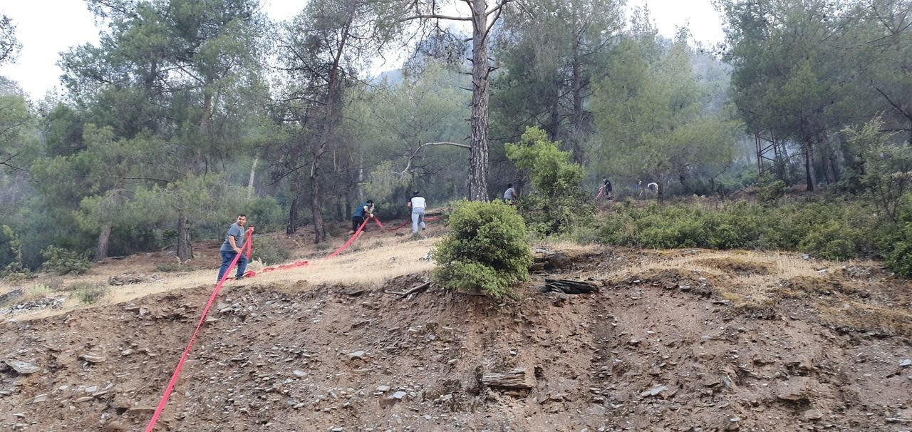 Aydın'ın Bozdoğan ilçesindeki orman yangını kontrol altına alındı - Sayfa 6