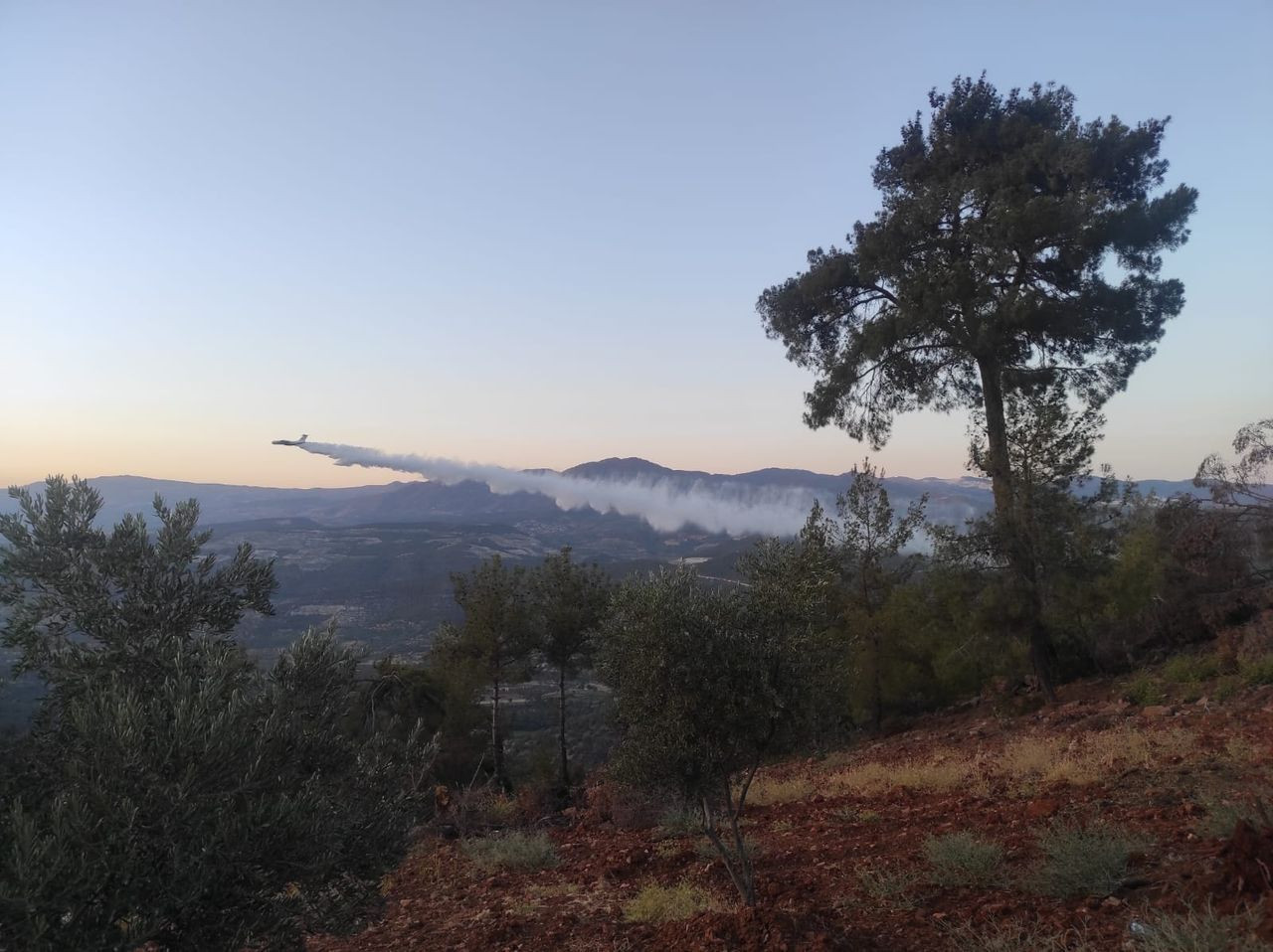 Aydın'ın Bozdoğan ilçesindeki orman yangını kontrol altına alındı - Sayfa 9