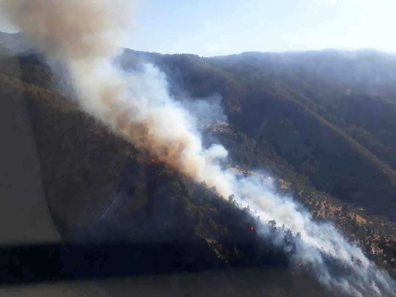 Aydın'ın Bozdoğan ilçesindeki orman yangını kontrol altına alındı - Sayfa 8