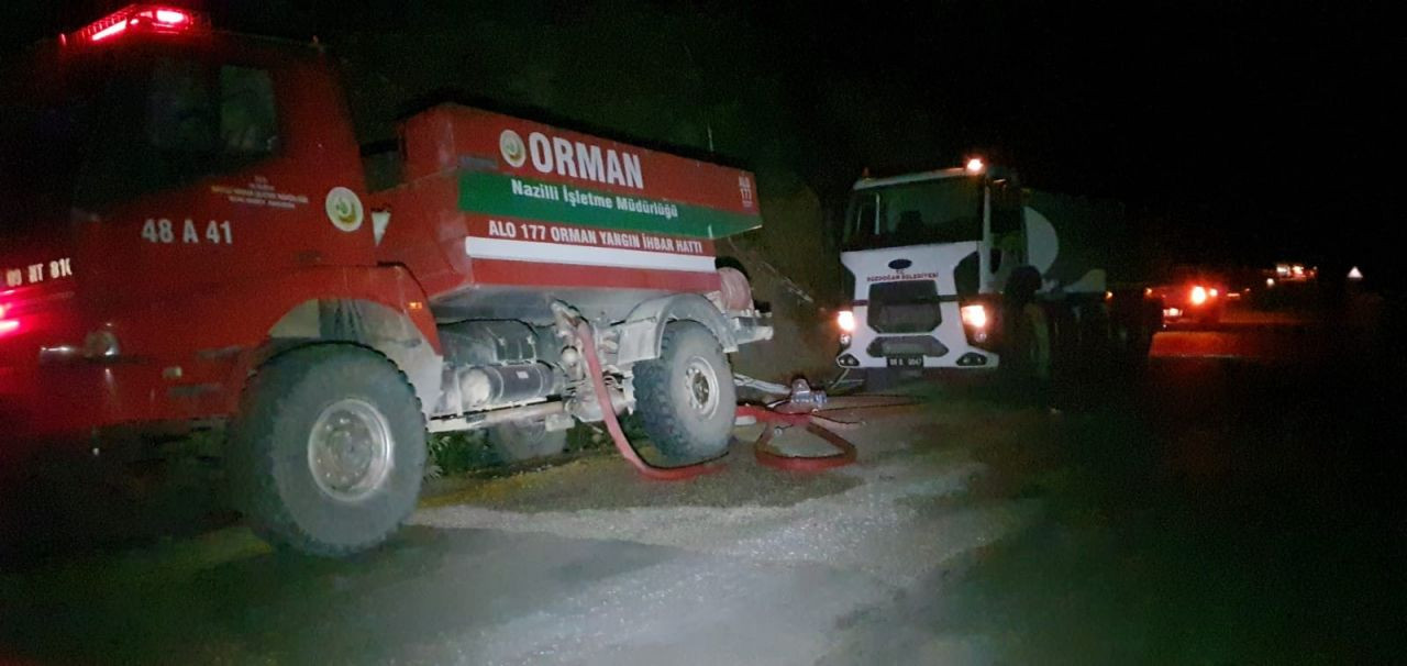 Aydın'ın Bozdoğan ilçesindeki orman yangını kontrol altına alındı - Sayfa 11