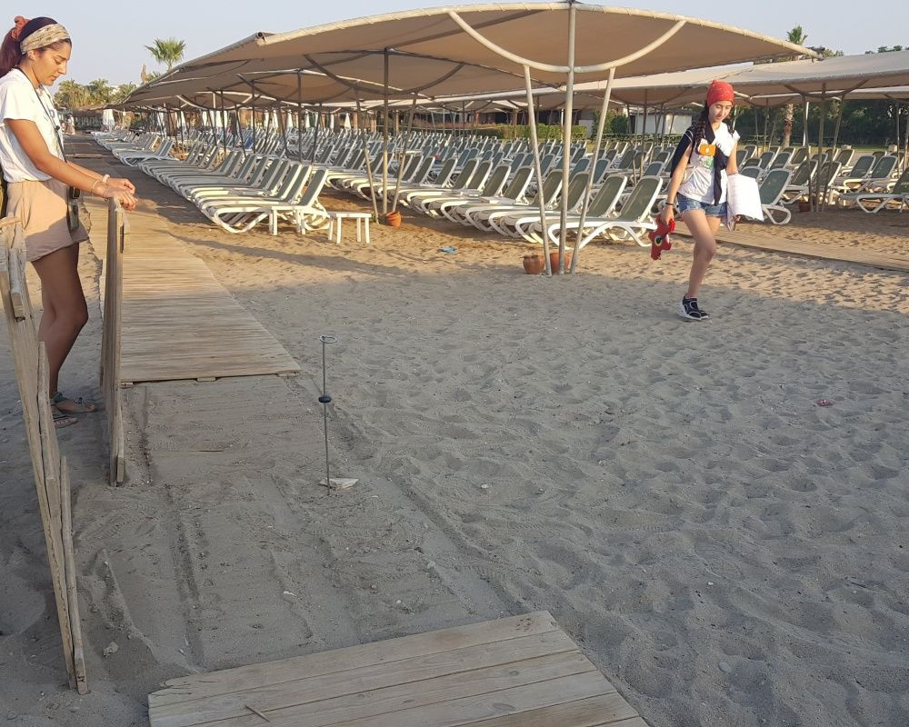 Antalya'da onlarca yavru caretta telef oldu - Sayfa 12