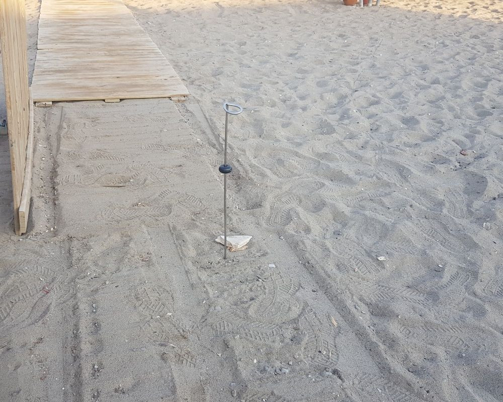 Antalya'da onlarca yavru caretta telef oldu - Sayfa 13