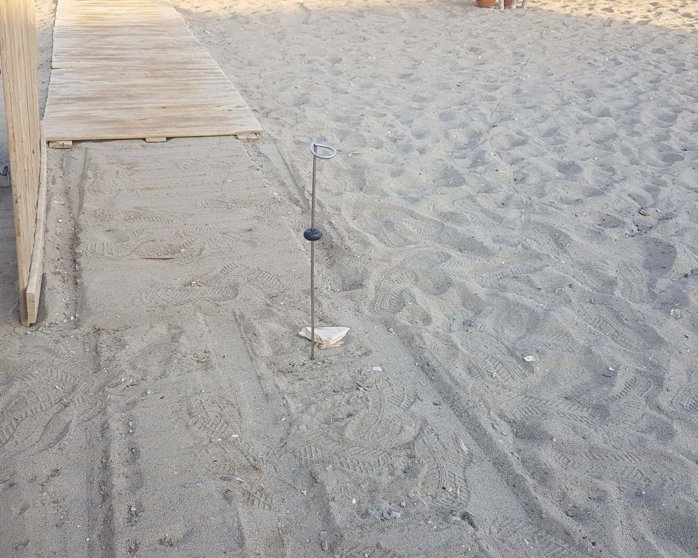 Antalya'da onlarca yavru caretta telef oldu - Sayfa 16