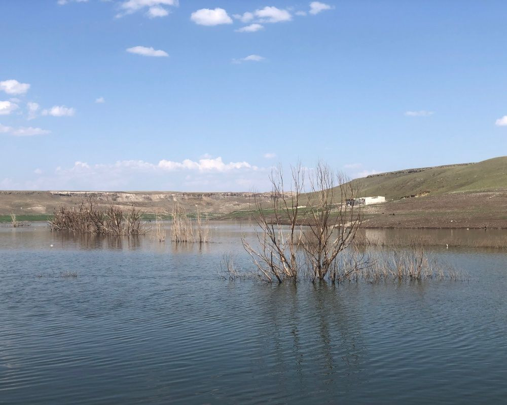 Baraj suyu çekildi, göl içerisinde kalan kurumuş ağaçlar ortaya çıktı - Sayfa 5