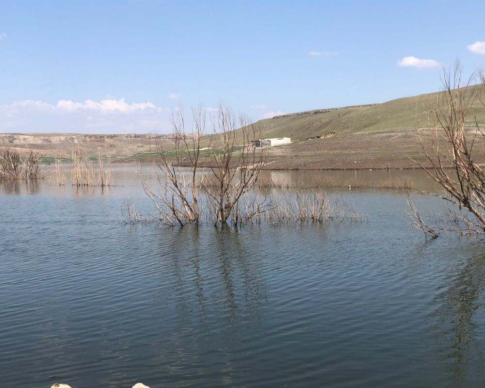 Baraj suyu çekildi, göl içerisinde kalan kurumuş ağaçlar ortaya çıktı - Sayfa 7