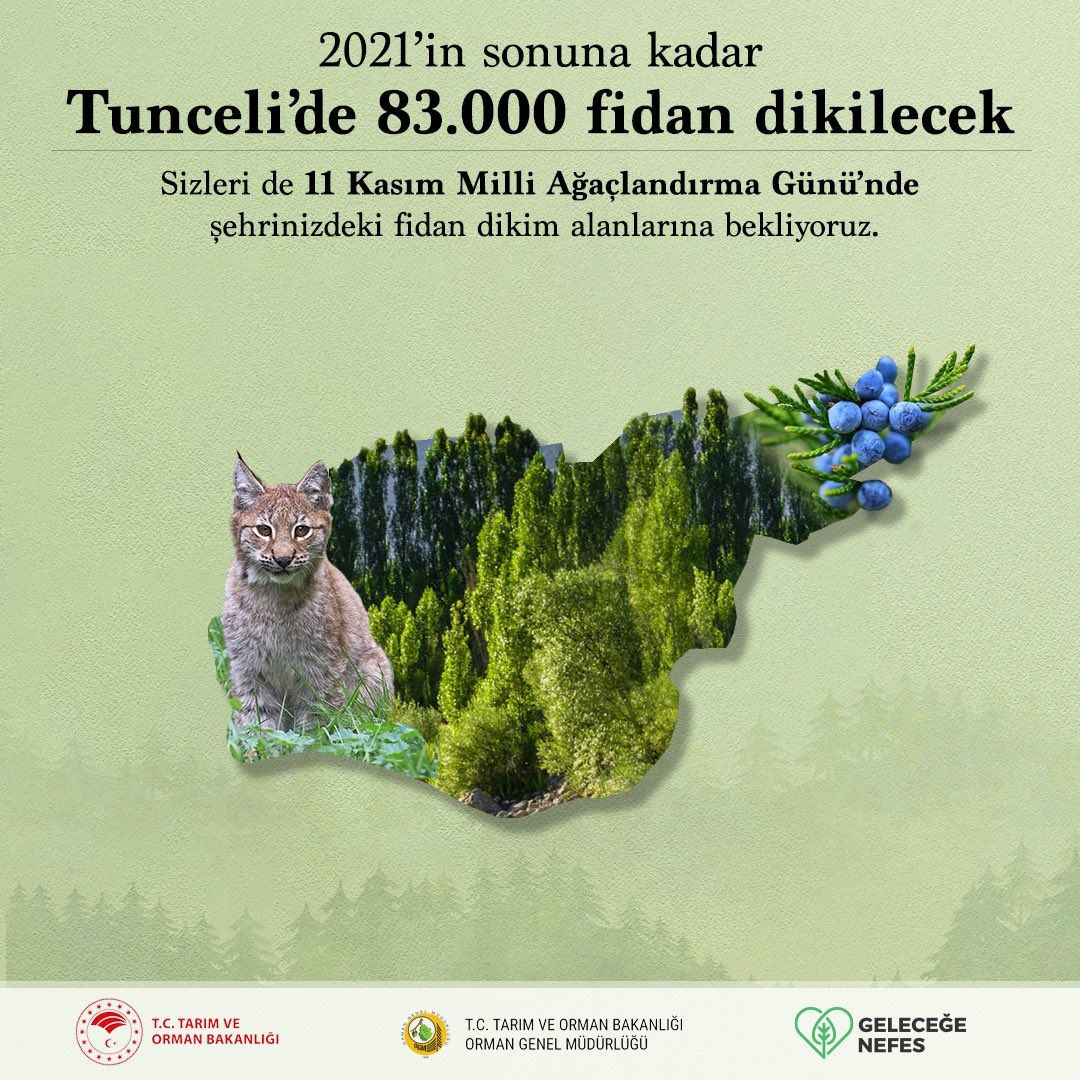 Türkiye'de 252 milyon fidan dikilecek! - Sayfa 5