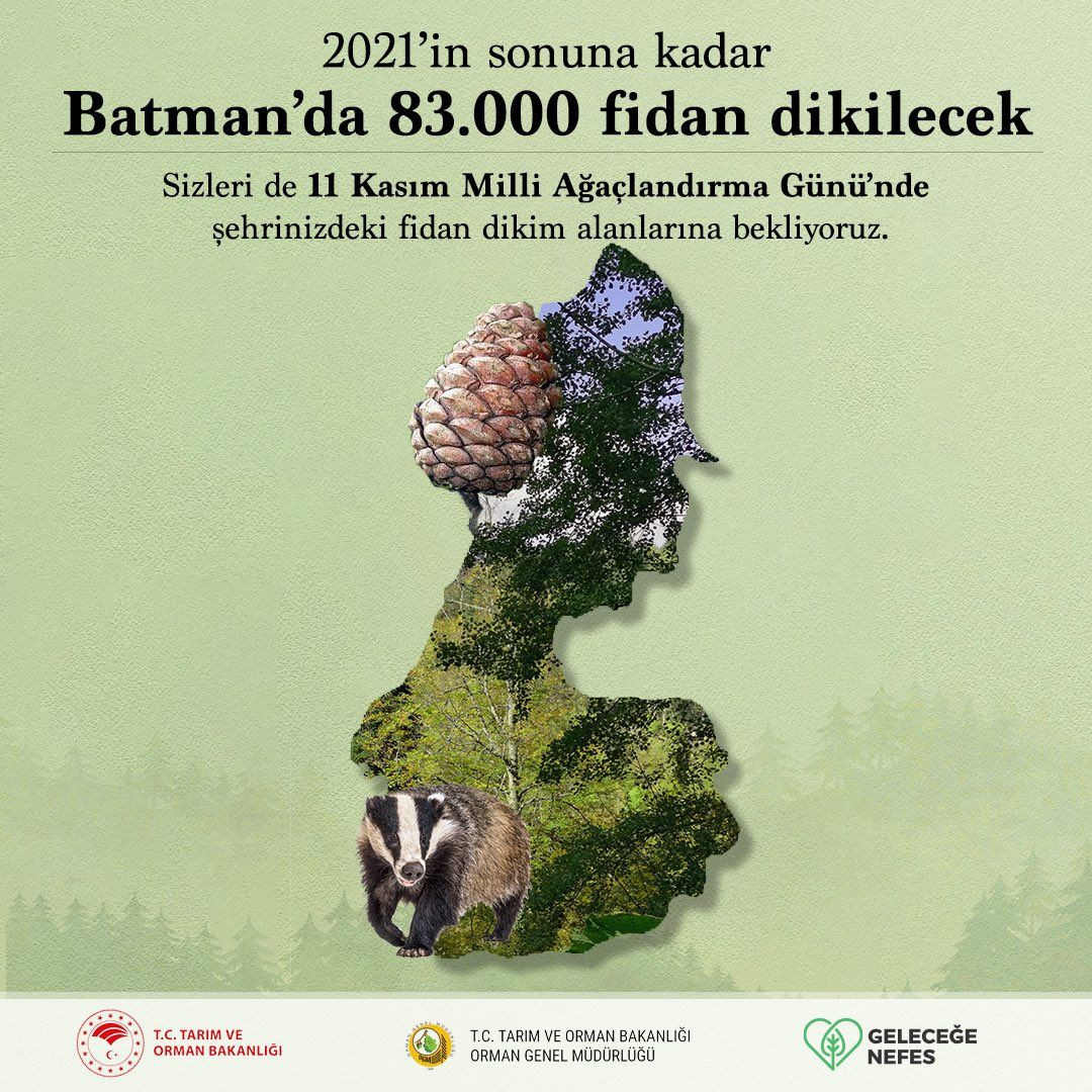 Türkiye'de 252 milyon fidan dikilecek! - Sayfa 6