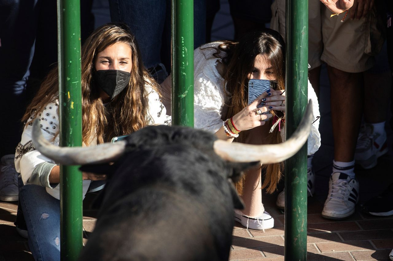 Şimdi daha da kızgınlar! Covid-19 salgında ilk boğa koşusu yapıldı - Sayfa 7