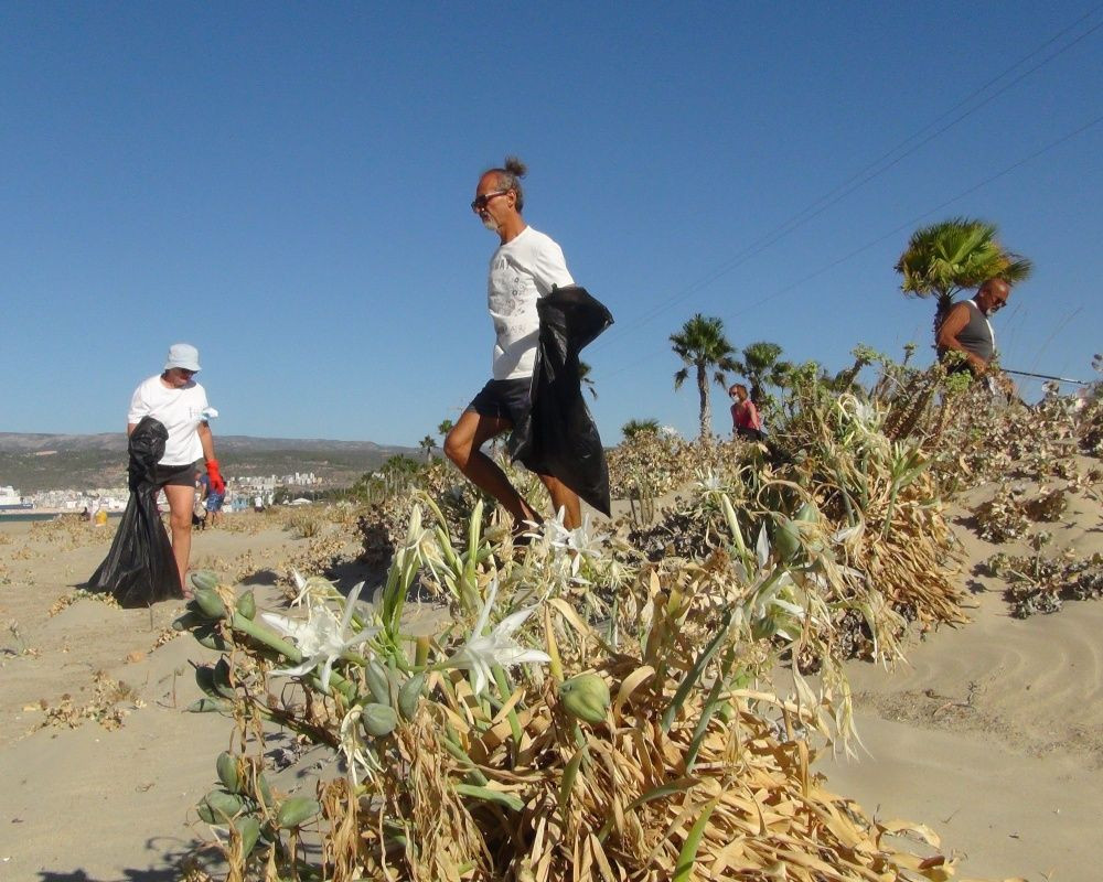 Bu çiçeği koparan yandı! Cezası bir araba parası - Sayfa 8