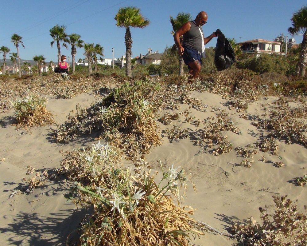 Bu çiçeği koparan yandı! Cezası bir araba parası - Sayfa 10