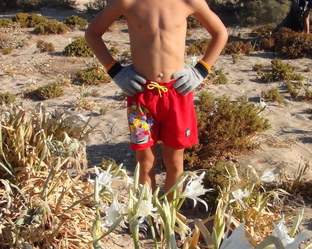 Bu çiçeği koparan yandı! Cezası bir araba parası - Sayfa 11