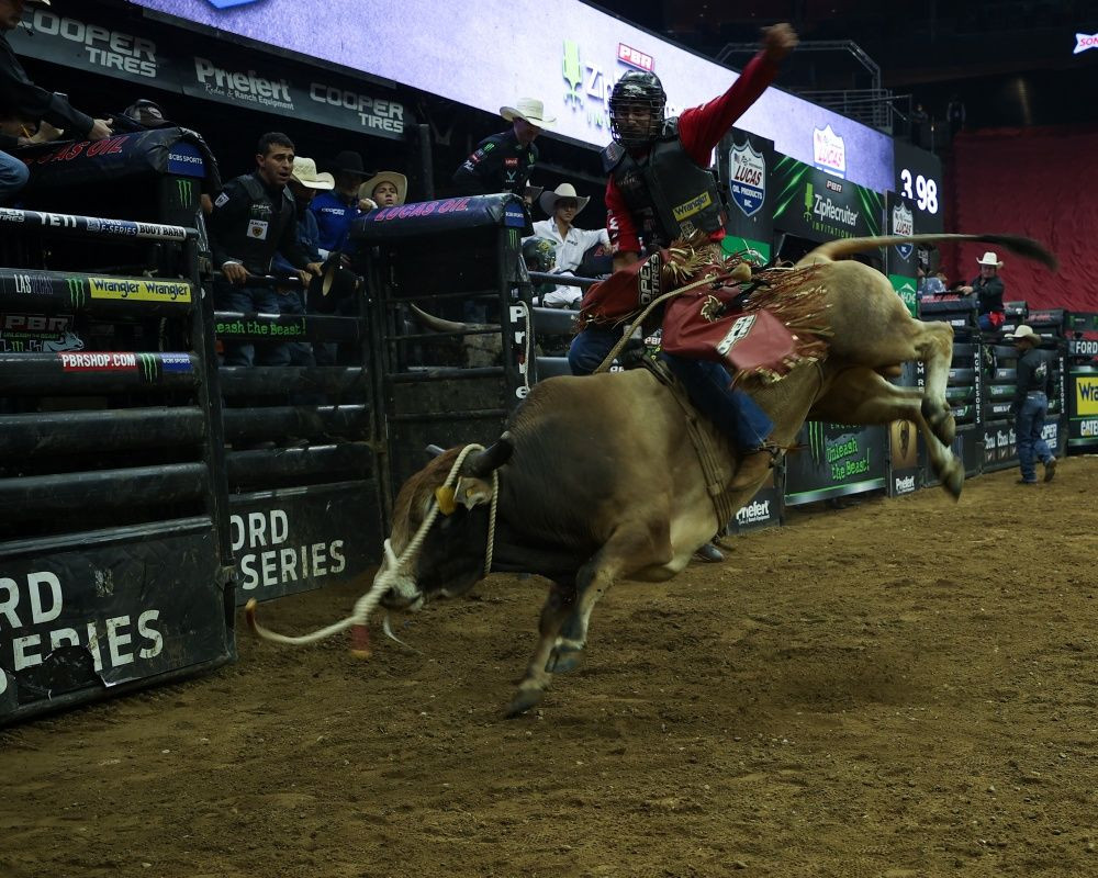 New Jersey'de rodeo etkinliği düzenlendi - Sayfa 10