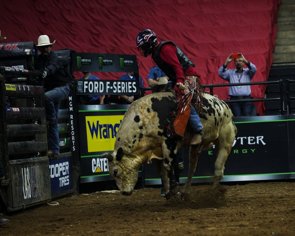 New Jersey'de rodeo etkinliği düzenlendi - Sayfa 16