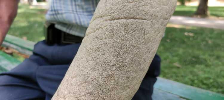 23 yıl önce bir sabah uyandığında neye uğradığını şaşırdı! "Beni gören hızlıca kaçıyor" - Sayfa 7