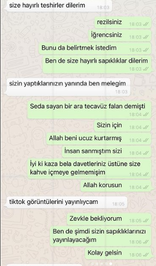 Sosyal medya fenomeni Ece Ronay, Mehmet Ali Erbil'in kendisine attığı mesajları ifşa etti! Ünlü sanatçı olay sonrası açıklama yaptı - Sayfa 7